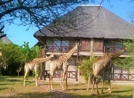 Rhulani Kruger Villa Марлот-Парк Экстерьер фото